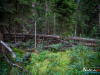 0546img_6269