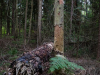 0548img_6271