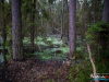 0550img_6273