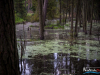 0550img_6278