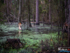 0551img_6280