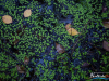 0551img_6281