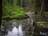 0553img_6286