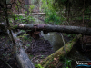 0557img_6287