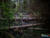 0558img_6291