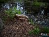 0616img_6332