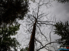 0619img_6337
