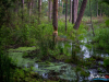0620img_6342