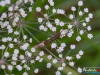 0631img_6362