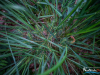 0635img_6364