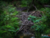 0641img_6370