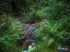 0641img_6371