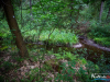 0643img_6374