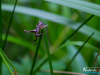 0645img_6384