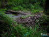 0652img_6393