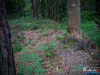 0657img_6399