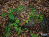 0659img_6401