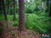 0659img_6402
