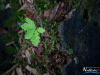 0718img_6408