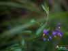 0723img_6411