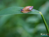 0727img_6420