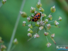 0728img_6434