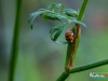 0728img_6439