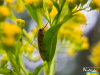 0736img_6450