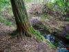 0830img_6464