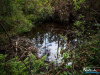 0831img_6465