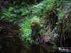 0837img_6471