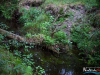 0841img_6477