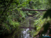 0845img_6481