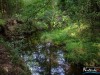0848img_6503