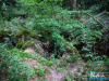 0857img_6515