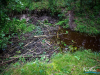 0857img_6516