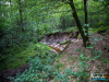0858img_6522