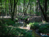 0920img_6546