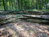 0951img_6556