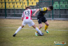 1623IMG_1404_wynik