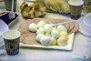 1105IMG_2530