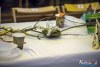 1110IMG_2576