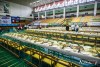 1152IMG_3015