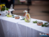 1001img_5782_03_26_2016