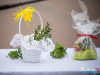 1003img_5795_03_26_2016