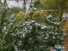 1031img_7225