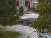 1031img_7226