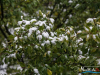 1031img_7227