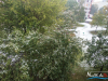 1040img_7235