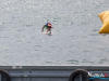 1338img_4160